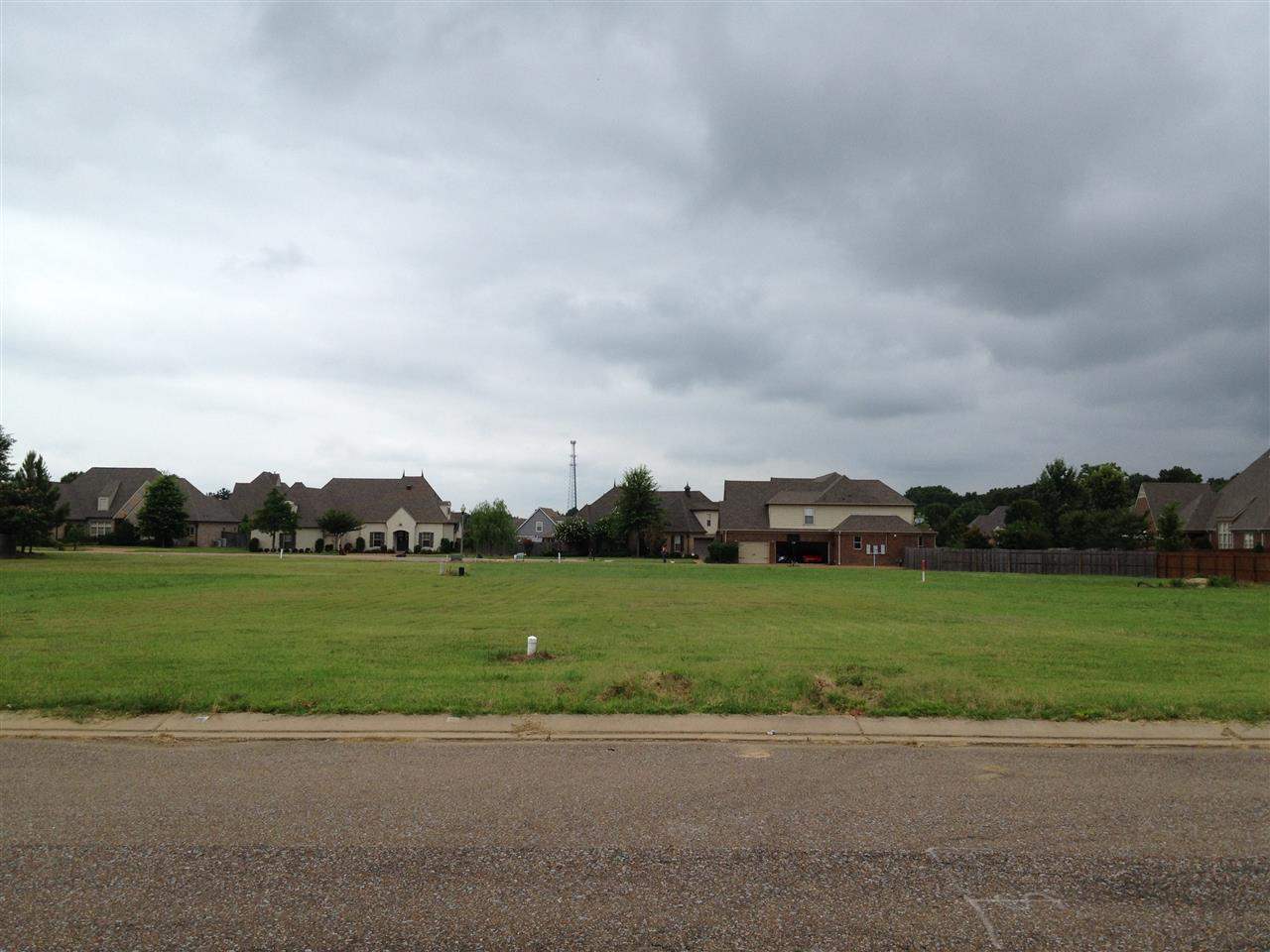 Singles in rossville tennessee